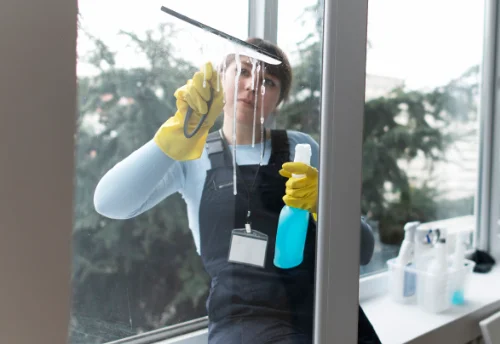Nettoyage de vitres intérieures et extérieures au Lorey